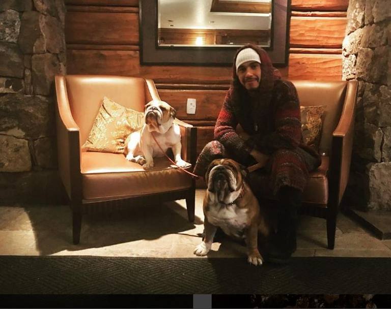 Lewis Hamilton con i suoi cani (Instagram)